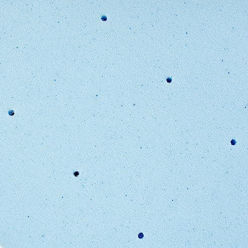 Bodipedic Essentials 3 Inch Memory Foam Mattress Topper, Gel Infused Mattress Topper, Ventilated Design, CertiPUR-US Certified Foam, Blue 7