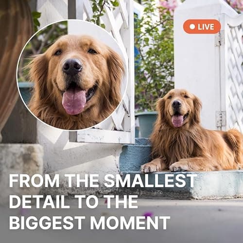 AlfredCam Plus 2 Smart Home Security Camera 2.5K, WiFi 2.4 & 5GHz, Indoor/Outdoor, IP65 Waterproof, LED Spotlight, Two-Way Audio, Color Night Vision, Baby/Pet Cam, App Powered (90M+ downloads) 5