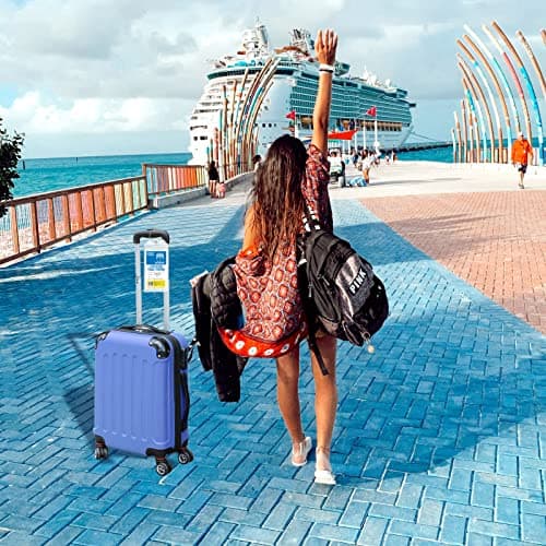 Cruise Luggage Tags for Carnival, MSC, Costa, NCL & Princess Cruise Ships, 6Pack Clear Tags Zip Seal Reusable Cruise Travel Essentials for 2026-2027 5