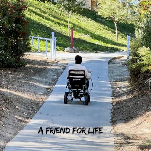 Rubicon DX14 - Longest Range 30 Miles, Airline Approved Electric Wheelchair, Dual 12AH Lithium Batteries, 2x300W Motors, Leather Cushion, Foldable, Lightweight & Powerful (Model17) 5