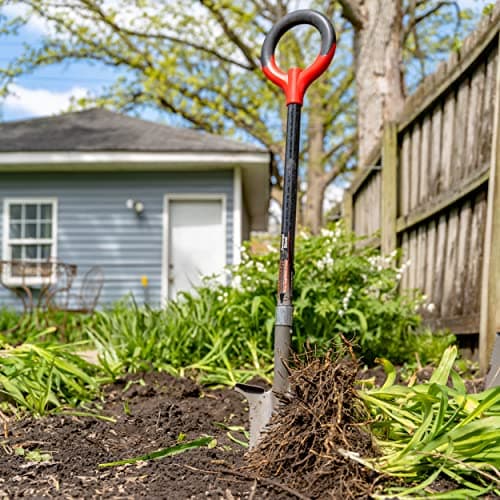 Root Slayer 23311 Perennial Garden Shovel with Serrated Blade for Digging and Root Cutting, Fiberglass Shaft, Heavy Duty Steel Spade, Red 9