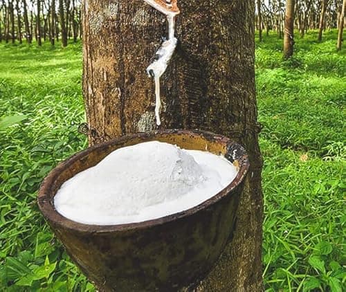 Dunlop Latex Mattress Topper - Firm - 3" - Twin 7