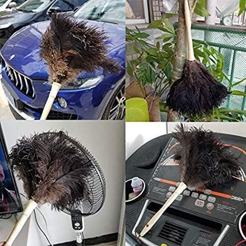 Feather Dusters for Cleaning, Feather Duster Ddzmz Fluffy Natural Genuine Ostrich Feathers and Reusable Wooden Long Handle Large Ostrich Feather Duster Cleaning for Housewife Brown Length 24" 1Pack 8