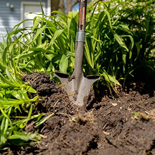 Root Slayer 23311 Perennial Garden Shovel with Serrated Blade for Digging and Root Cutting, Fiberglass Shaft, Heavy Duty Steel Spade, Red 6