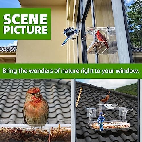 WENMIXER Window Bird Feeder with Non-Marking Self-Adhesive Hooks, Clear and Transparent, Outdoor Wild Bird Watching Gift, Garden Decor (Standard) 6