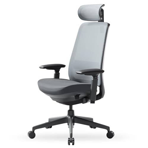 COLAMY Ergonomic Office Chair, High Back Computer Executive Desk Chair with Lumbar Support, Adjustable Headrest and 4D Arms, Slide Seat-BlackGrey