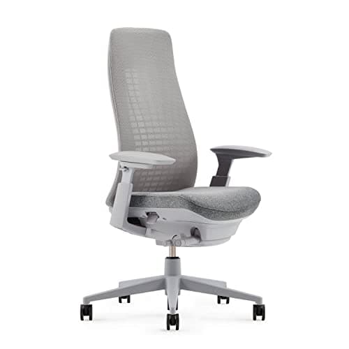 Haworth Fern Ergonomic Office Chair Without Lumbar Support, Adjustable Desk Computer Chair with Breathable Mesh Finish for Home Office Furniture, Silver Leaf
