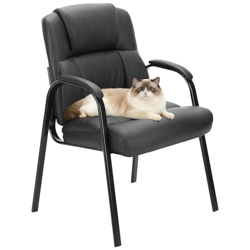 OLIXIS Waiting Room Chairs, Leather Office Desk Reception Guest Stationary Side Chair with Padded Arms for Home Conference Lobby Area Meeting Church Medical Clinic Elderly Student