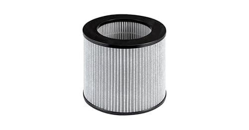 Bissell Replacement High Efficiency and Carbon Filter for The MyAir Personal Air Purifier, 2801