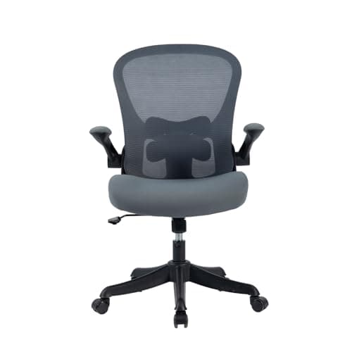 TLLMOON Classroom Chair Managerial Chairs Ergonomic Mesh Office Chair with 2D Armrests,Up&Down/Front&Rear Lumbar Support Swivel Computer Task Chair with Adjustable Flip-up Armrests.
