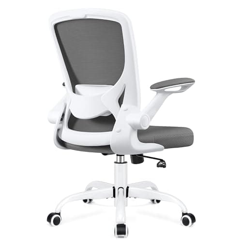 KERDOM Modern Ergonomic Office Chair, Lumbar Support, Mesh Back, DeepGray