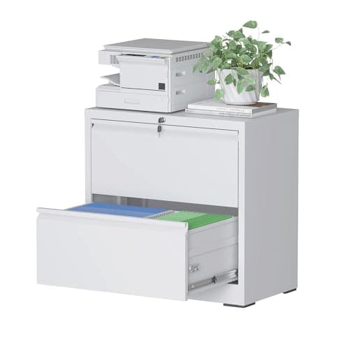 Reegangfa File Cabinet with Lock, 2 Drawer Lateral Filing Cabinets for Home Office, White Metal Heavy Duty File Cabinets for Hanging Letter/Legal/F4/A4 Size Files, Assembly Required