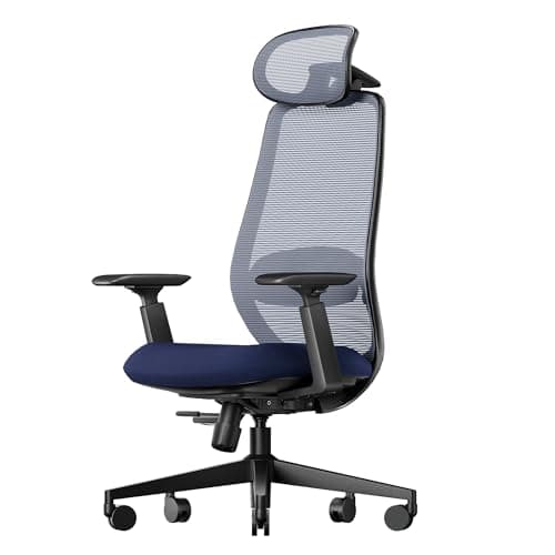 ProtoArc Ergonomic Office Chair – EC200 High-Back Mesh Computer Chair with Lumbar Support, 3D Adjustable Headrest & Sliding Seat for 8+ Hour Comfort, Big & Tall Home Office Desk Chairs - Blue