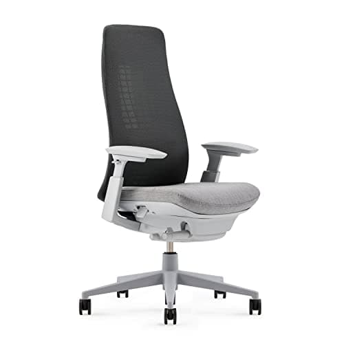 Haworth Fern Ergonomic Office Chair with Lumbar Support, Adjustable Desk Computer Chair with Breathable Mesh Finish for Home Office Furniture, River Rock