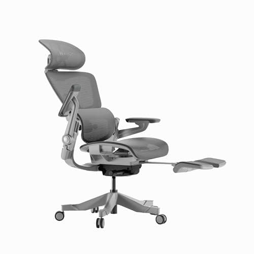 HINOMI H1 Pro V2 Ergonomic Office Chair with Foot Rest - Comfy Home Office Desk Computer Chair, Comfortable Mesh Seat with Adjustable Back Support (Gray, Medium)