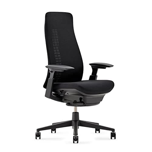 Haworth Fern Ergonomic Office Chair with Lumbar Support, Adjustable Desk Computer Chair with Breathable Mesh Finish for Home Office Furniture, Coal