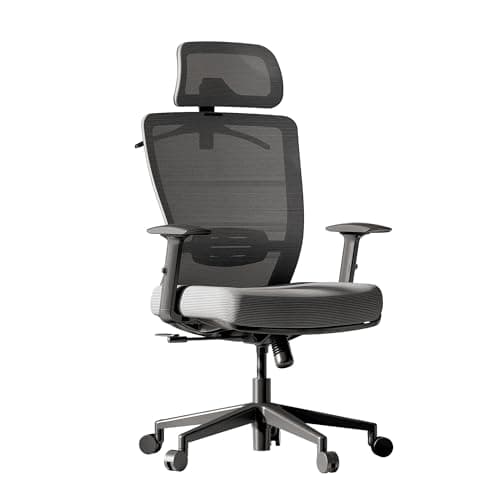 FLEXISPOT Ergonomic Office Chair, High Back Swivel Computer Chair, Home Office Desk Chairs, with 2D Headrest/Adjustable Back Support/Heavy Duty Base, Foam Seat Cushion, Gray