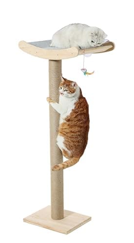 Window Cat Perch with Scratching Posts, 46" Wood Tree Bed for Maine Coon Big Cats Perching and Lounging, Mounted with 3 Strong Suction Cups (Wood Platform)
