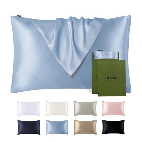 LILYSILK Silk Pillowcase for Hair and Skin Queen-100% Mulberry Silk 19 Momme Both Sides Silk Bed Pillow Cover with Hidden Zipper, 1 Pc (Queen Size 20''x30'', Light Blue)