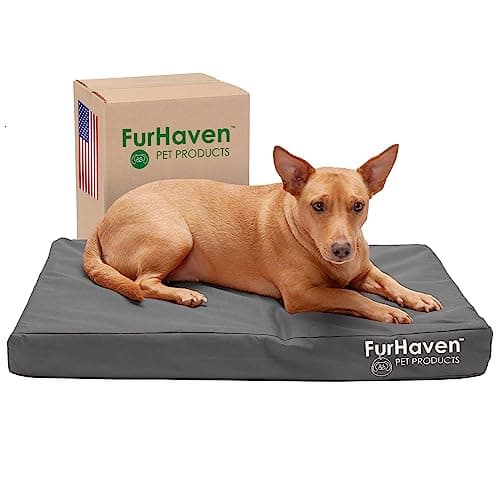 Furhaven Water-Resistant Orthopedic Dog Bed for Medium/Small Dogs w/ Removable Washable Cover, For Dogs Up to 35 lbs - Indoor/Outdoor Logo Print Oxford Polycanvas Mattress - Stone Gray, Medium