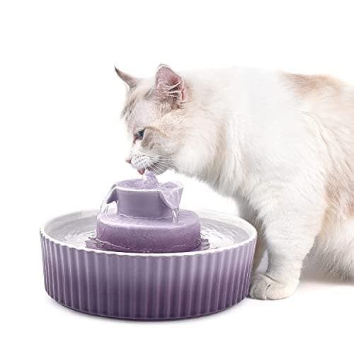 VinDox 2.1L Ceramic Cat Water Fountain-for Cats and Dogs, 360 Ceramic Pet Fountain-70 Oz Large Water Capacity - Whisper-Quiet Water Flow-Great for Shy or Timid Pets - Fresh, Filtered Water(Purple)