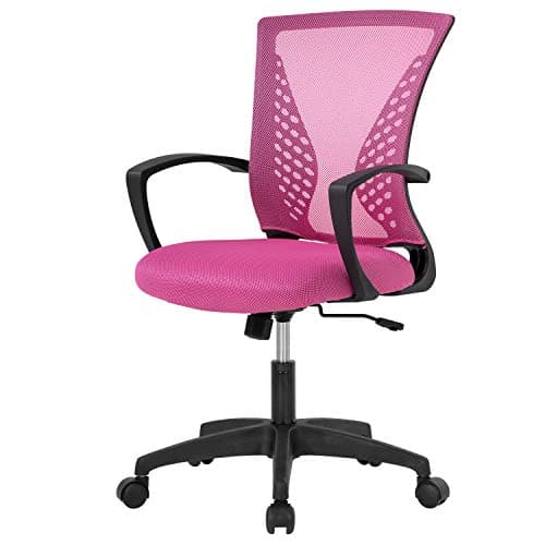 FDW Home Office Chair Mid Back PC Swivel Lumbar Support Adjustable Desk Task Computer Ergonomic Comfortable Mesh Chair with Armrest (Pink)