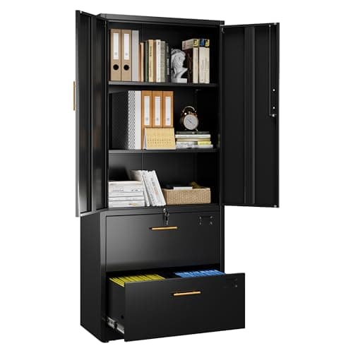GangMei 2 Drawer Lateral File Cabinet with Lock, Metal Filing Storage Cabinet with Locking Doors and 2 Adjustable Shelves for Home, Office, School, Fits A4/Letter/Legal Size Folders, Assembly Required