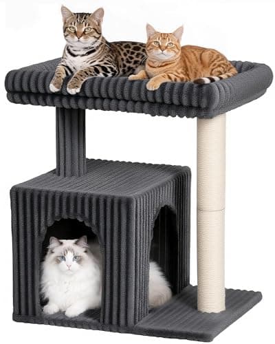 KinoTail Cat Tree for Large Cat, 20.9 * 15.7in Large Perch Bed for Adult Cats, 22.8in Cat Tower with Scratching Post, Cat Condo with 2-Door for Indoor Cats, Dark Gray
