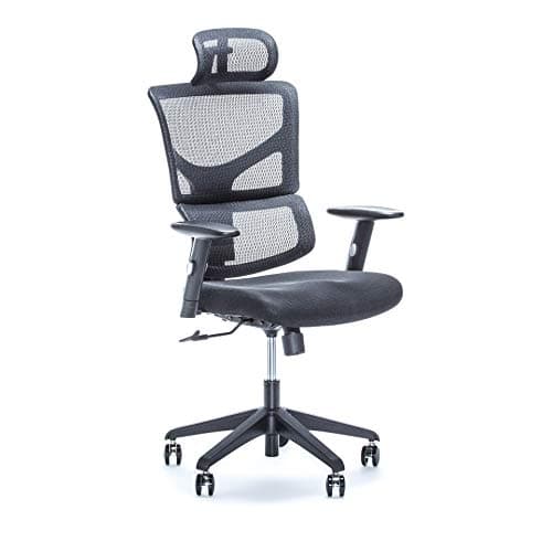 X-Chair X-Basic Task Chair, Black Flex Mesh with Headrest - Ergonomic Office Seat/Adjustable Backrest/Foam Seat/Relaxed Recline/Perfect for Office or Home Desk