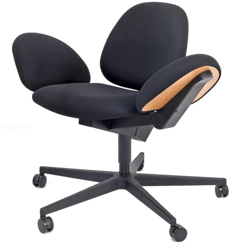 FELLYTN Comfortable Office Desk Chair with Rolling Wheel - Multi-Function 10+ Sitting Postion Home Chairs for Comfy Meditation - Criss Cross Legged - Convertible Armrest Backrest - Black
