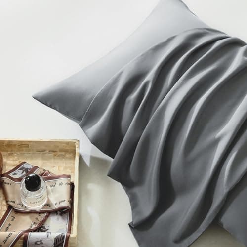 WARMDERN Dark Grey Pillow Covers Standard Size - Eucalyptus Lyocell Tencel Pillow Cases, 2 Pack Soft Breathable Silky Cooling Pillow Shams Oeko-TEX Pillowcase Set of 2(Dark Grey, Standard, 20x26)