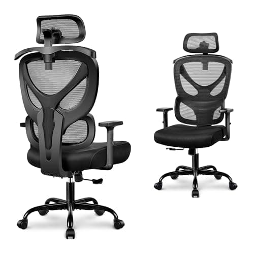 Winrise Comfy Computer Chair, Big and Tall Home Office Chair with Back Support, Mesh High Back Gaming Chair with Adjustable Armrest (Black)