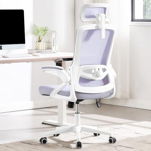 Fizzin Ergonomic Office Chair, 400 LBS Desk Chair with Adjustable Lumbar Support, High Back Breathable Mesh Computer Chair Rolling Work Swivel Task Chairs, Comfy Home Office Desk Chair (Lavender)