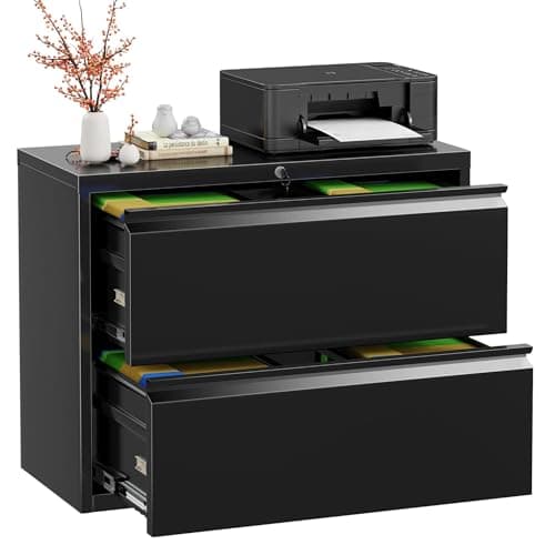 INTERGREAT Lateral File Cabinet 2 Drawer Black, Metal 2 Drawer Filing Cabinet with Lock for Home Office, Locking File Cabinet for Letter/Legal/F4/A4 Size Hanging Files, Easy Assembly