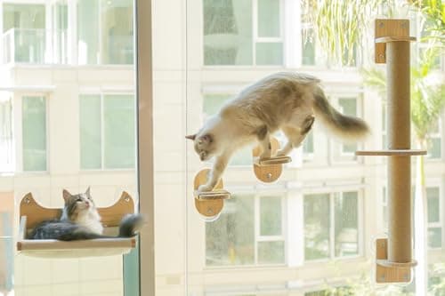 Pet Savvy 4-in-1 Window & Wall Mount Cat Wall Shelves – Hammock, Scratching Post & Perch | Fits up to 40 lbs | Space-Saving Pet Furniture for Windows, Glass & Drywall | Modern Wood Cat Shelf Set