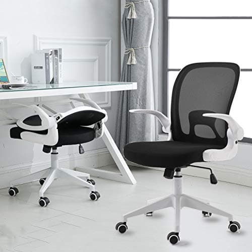IPKIG Foldable Office Chair - Home Office Desk Chairs with Wheels and Flip-Up Arms - Ergonomic Backrest Mesh Computer Chair Adjustable Swivel Rolling Home Executive (White)