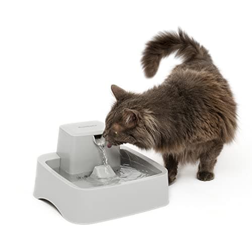 PetSafe Oasys 1/2 Gallon Pet Fountain - Cat & Dog Hydration Station with Free-Falling Water Stream & Customizable Flow - Encourages Hydration & Protects Sensitive Whiskers - 1/2 Gallon
