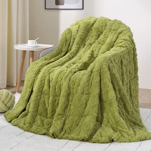 Drewin Weighted Blanket Queen Size 15 lbs, Dual Sided Soft Fuzzy Jacquard Sherpa Bed Blankets with Ceramic Beads, Ultra Fuzzy and Thick Winter Weighted Blanket, 60 x 80 inches, Grass Green