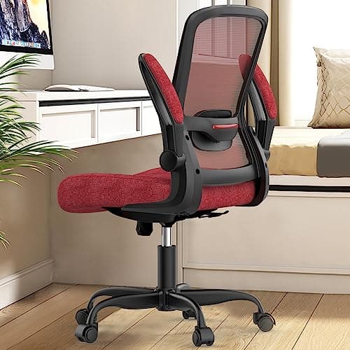 Mimoglad Office Chair, Ergonomic Desk Chair with Adjustable Lumbar Support, High Back Mesh Computer Chair with Flip-up Armrests-BIFMA Passed Task Chairs, Executive Chair for Home Office
