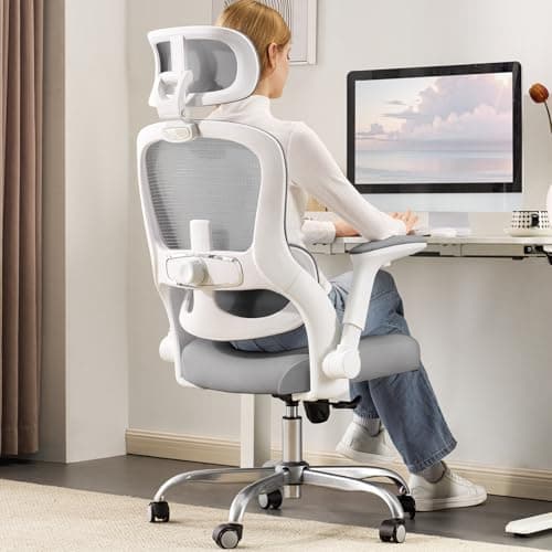 Ergonomic Office Chair - Computer Desk Chairs Comfy, Mesh High-Back Gaming Chair with Adjustable Lumbar Support, Executive Task Chair for Adults, Comfortable for Long Hours (Gray)