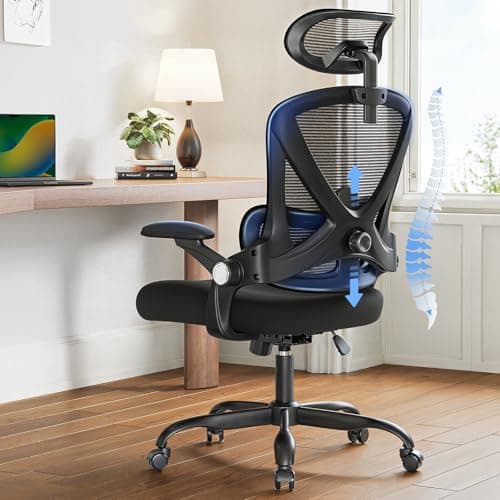 HUANUO Ergonomic Office Chair, High Back Desk Chair with Up&Down Lumbar Support, 3D Flip-Up Armrests, 2D Headrest, Swivel Computer Task Chair with Wheels and Tilt Function for Home & Office, HNOC13