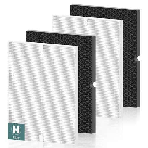 116130 Replacement Filter H for Winix 5500-2 AM80 Plasmawave Air Purifier, Includes 2 Pack True HEPA Filter and 2 Pack Activated Carbon Filter