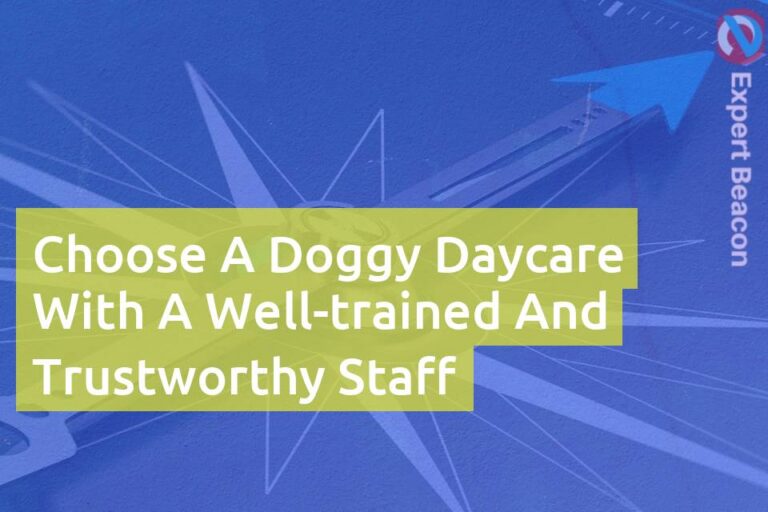 Choose a doggy daycare with a well-trained and trustworthy staff