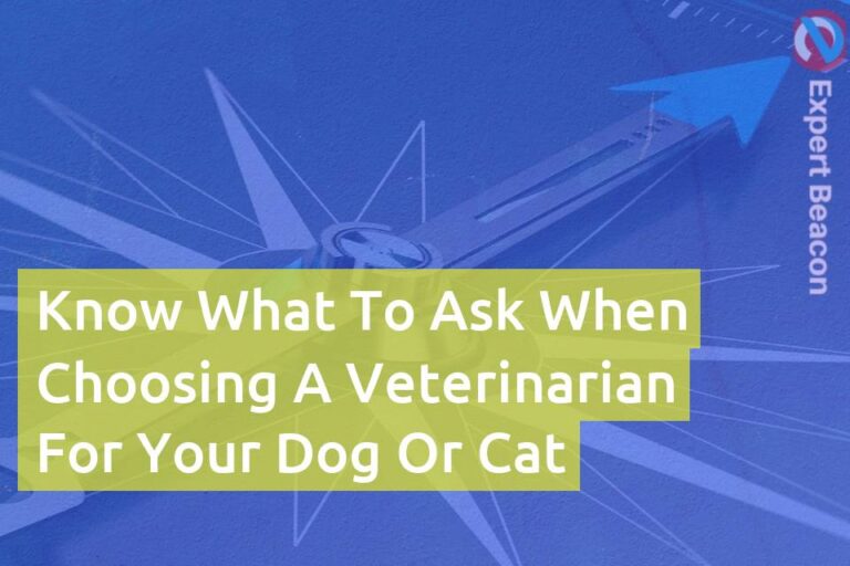Know what to ask when choosing a veterinarian for your dog or cat