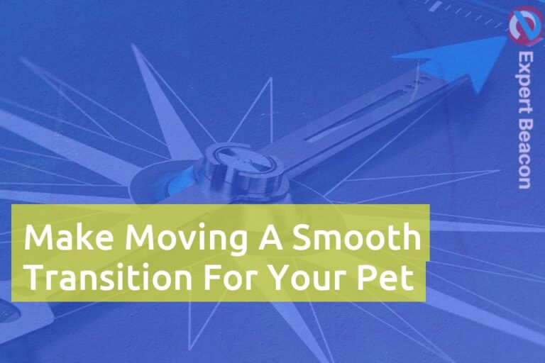 Make moving a smooth transition for your pet