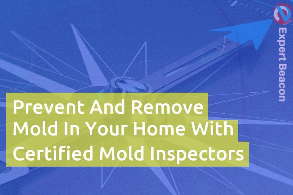 Prevent And Remove Mold In Your Home With Certified Mold Inspectors ...