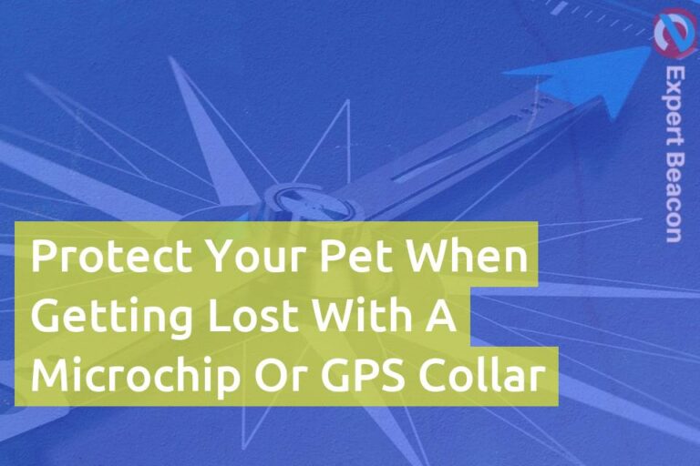 Protect your pet when getting lost with a microchip or GPS collar
