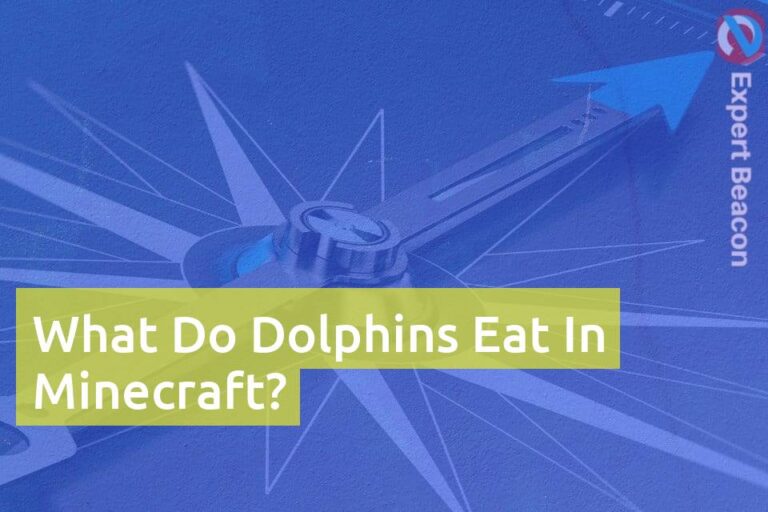 What Do Dolphins Eat In Minecraft?