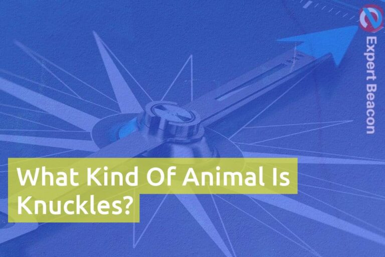 What Kind Of Animal Is Knuckles?