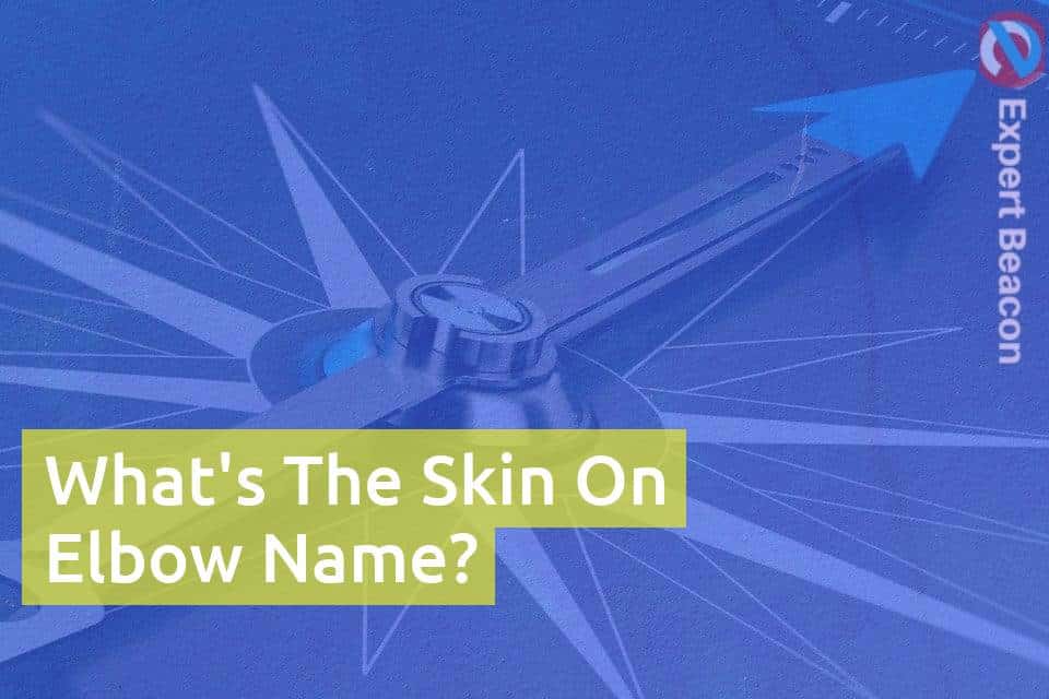 What's The Skin On Elbow Name? - ExpertBeacon